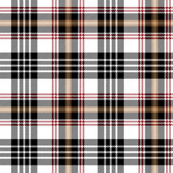 Black and Red Tartan Plaid Pattern vector image