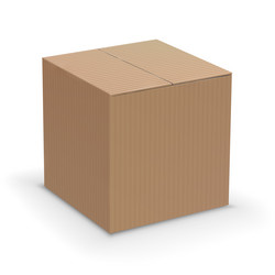 Damaged Cardboard Box Vector Image
