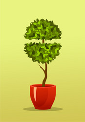 tree in a pot Vector Image
