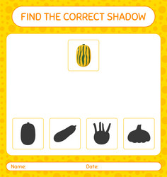 find the correct shadows game with delicata vector image
