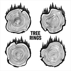 round tree trunk cuts with trees and forest sawn vector image