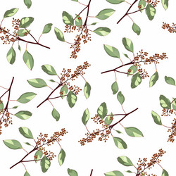 Seamless pattern with eucalyptus branch in bloom vector