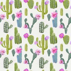 Cactus Seamless Pattern vector image