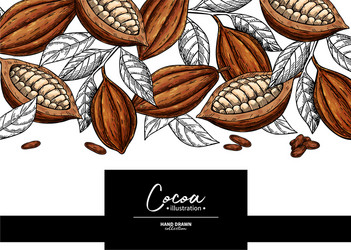 Cocoa Bean Frame - Botanical Sketch vector image