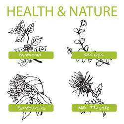 handdrawn set - health and nature collection vector image