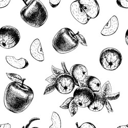 seamless pattern with apples sketch vector image