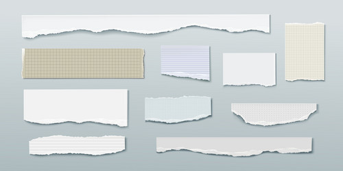 rip notebook page with torn paper edge vector image