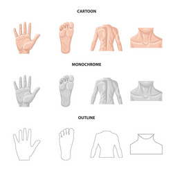 isolated object of human and part sign set vector image