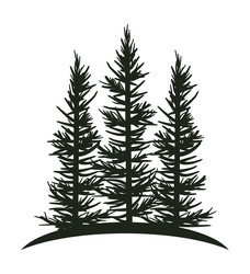 Fir forest engraving hand drawn sketch Royalty Free Vector
