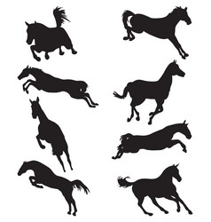 Horse Silhouettes Jumping Vector Image