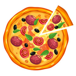 pizza and slice triangle with different vector image