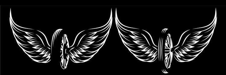 set monochrome patterns - wheel with wings Vector Image