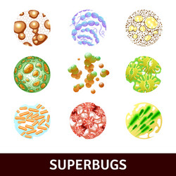 Realistic detailed 3d virus and bacteria set Vector Image