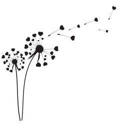 abstract dandelion background vector image