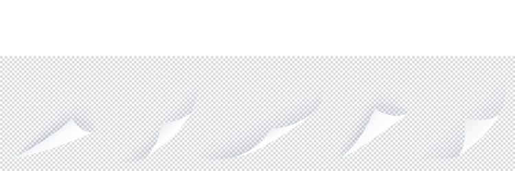 curl corner set with shadows isolated vector image