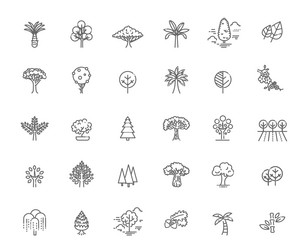 Tree Shape Line Icons - Botanical Collection vector image