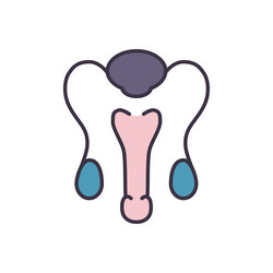 male reproductive system line icons vector