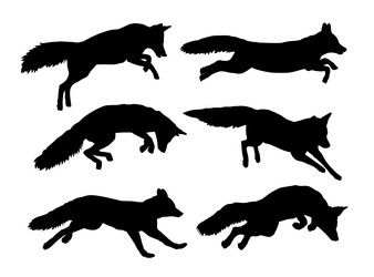 set silhouettes of foxes Vector Image