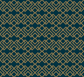abstract geometric pattern with lines rhombuses vector image