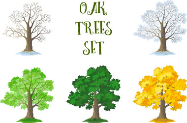 Cartoon winter tree set seasonal Royalty Free Vector Image