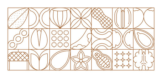 Geometric Nut & Seed Pattern vector image
