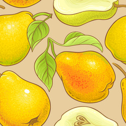 pear fruits pattern on color background vector image