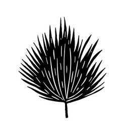 branch black Vector Image