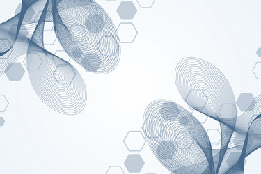 science network pattern connecting lines and dots vector image