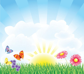 spring field vector image