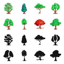 Isolated object of tree and nature icon vector