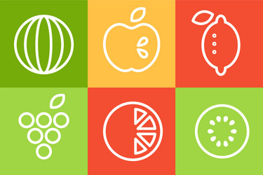 set of different fruits in linear style vector image