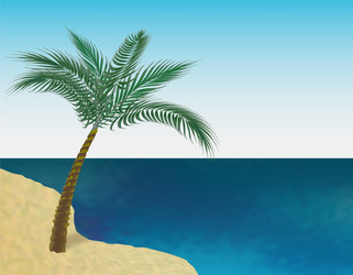 Tropical Palm Tree on Beach Vector Image