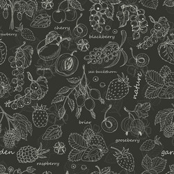 seamless pattern with berries on dark background vector image