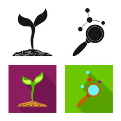 isolated object of and icon collection vector image