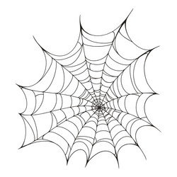 thin spider web element monochrome vector