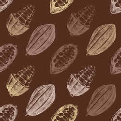 seamless pattern with cocoa beans vector image
