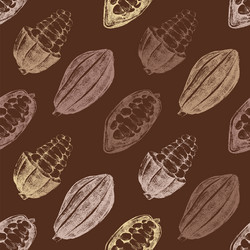 Seamless pattern with cocoa beans vector