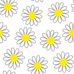 Camomile Flower Pattern vector image