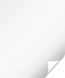 page curl shadow vector image