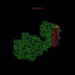 zambia flag map chaotic particles pattern vector image