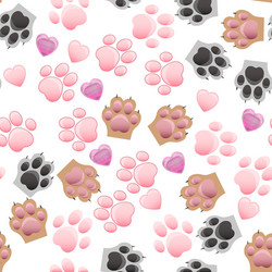 cat and dog paw print with claws vector