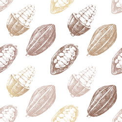 seamless pattern with cocoa beans vector image