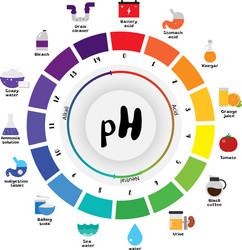 ph scale universal indicator color chart vector image