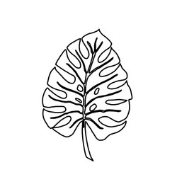 branch black Vector Image