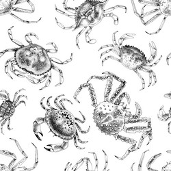 seamless pattern with different types of crabs vector image