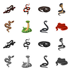 Isolated object snake and creepy logo set vector