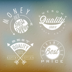 vintage design elements and emblems Vector Image
