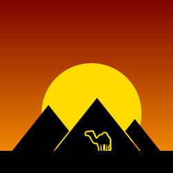 camel and pyramids color vector