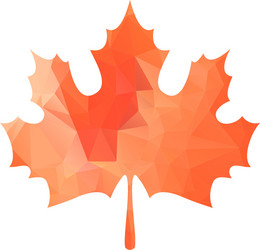 abstract maple leaf silhouette with pattern vector