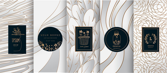 Collection Design Elementslabelsiconframes Vector Image